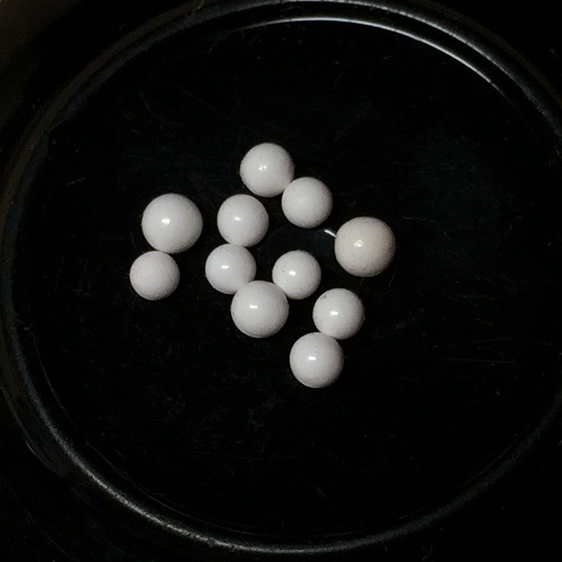 India's Bodhi Gaya Tianshang strong son 10 cherished