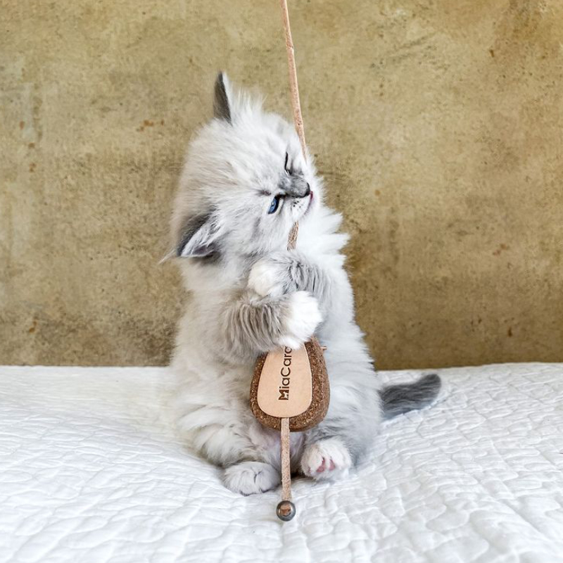 Mouse toy MiaCaraCoda Germany imported cat to relieve boredom chewing interactive cork toy Petisan