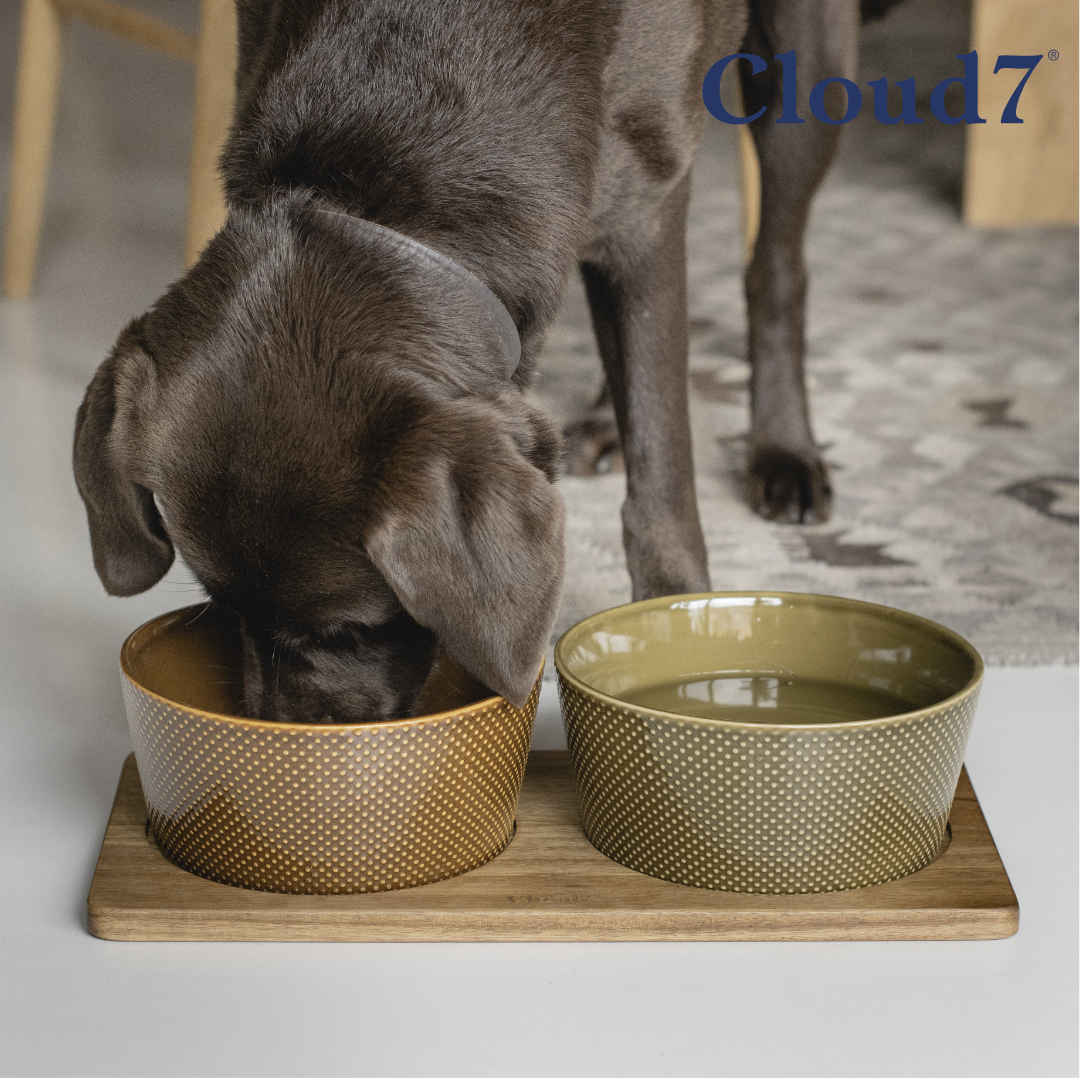 Cloud7 ceramic pet bowl imported anti-overturning neck guard solid wood dog bowl dog bowl cat bowl cat food bowl petisan
