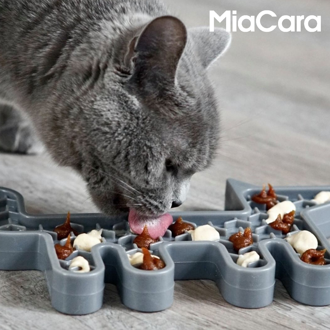 Pets Slow Food Bowl Slow Food Toys Germany Imports MiaCara Design Minimalist Texture Cat Dog Petisan