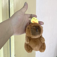 Курица капибара на голове