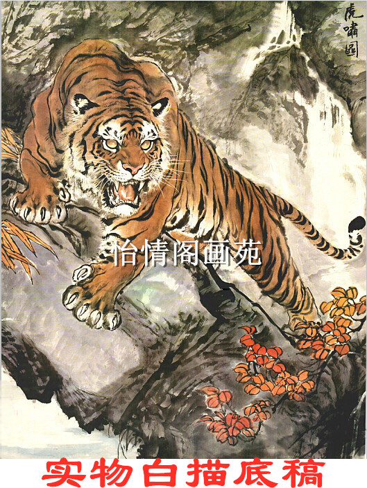 Gongbi white drawing manuscript tiger drawing white drawing manuscript landscape painting figure painting flower and bird painting physical copy manuscript 088