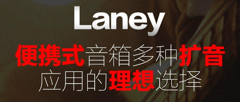 Lenny Laney AH110 AH112 AH115 tổng hợp trống điện guitar bass đa chức năng loa - Loa loa