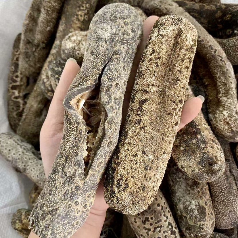 虎皮参干货:滋补佳品,500g黑秃参海参,让你告别亚健康!-干品-淘宝好物网