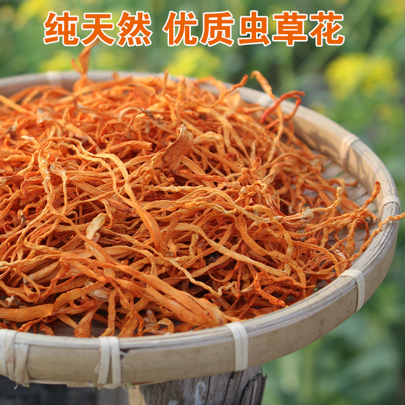 Worm Grass Flower Special Class North Caterpillar Fungus Planter Head Selected Farma Pupa Caterpillar Fungus Dry Goods Golden North Caterpillar Fungus Flowers 200g