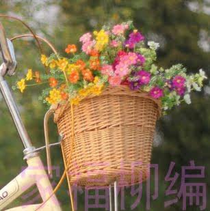 Panier pour vélo - Ref 2258146 Image 6