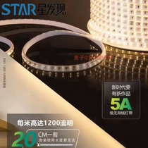 Star Discovery LED double row light with 220v high voltage living room ceiling decorative lighting wire-free outdoor waterproof light