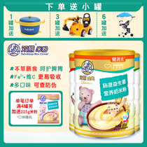 Double bear rice noodles for infants and young children rice paste nutrition supplement Baby 6 digestive intestines 24 golden chicken inner gold Hawthorn 528G