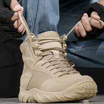 Autumn and winter new mid-help shoes military fans boots mens combat boots tactical boots wear-resistant desert boots outdoor mountaineering training shoes women