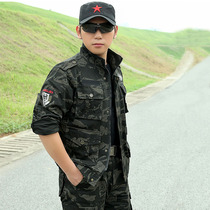 Cotton Black Eagle camouflage suit suit men spring and autumn military fans training as large size labor insurance wear-resistant security overalls women