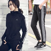 Adidas thể thao phù hợp với phụ nữ 2019 mùa xuân và mùa thu mặc giản dị áo khoác dệt kim chân quần quần quần nữ - Thể thao sau bộ quần áo gió the thao nam mùa đông