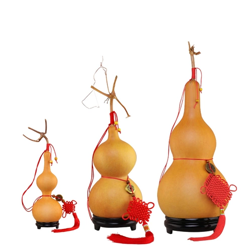 Выделка из тыквы. Откройте чистый натуральный текстовый