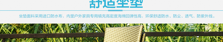 Золотая сталь ноги_95.jpg