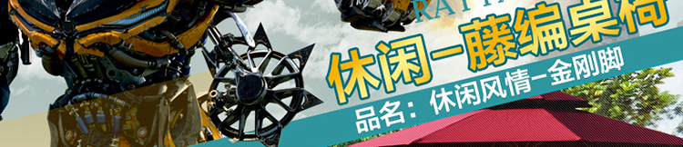 Золотая сталь ноги_03.jpg