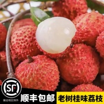 Свежее Старое Дерево Gui Вкус Lychee House Alpine Lychee Ароматный Сладкий Источник