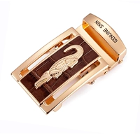 1 золотая пряжка с пустой кожей