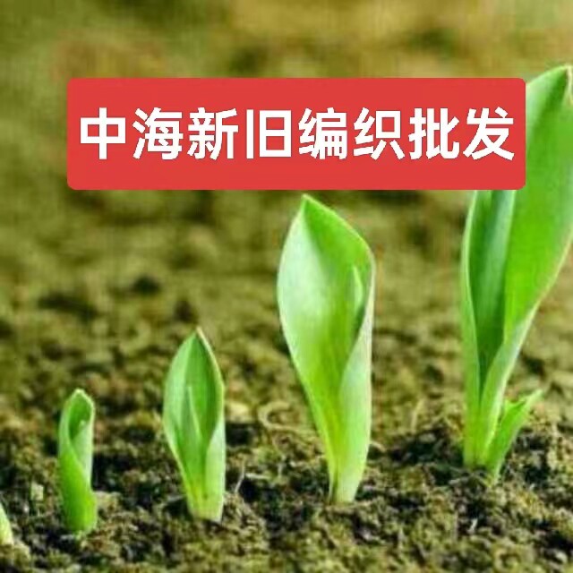 中海包装编织袋批发