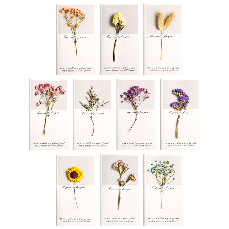 Jianzhou small fresh dried flower greeting card with message