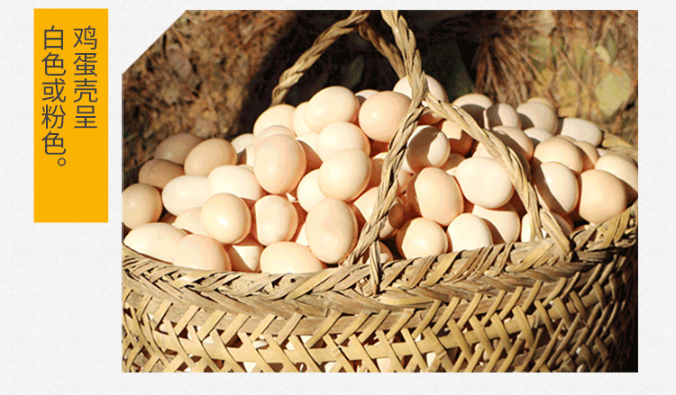 鲜鸡蛋30枚正宗农家散养土鸡蛋