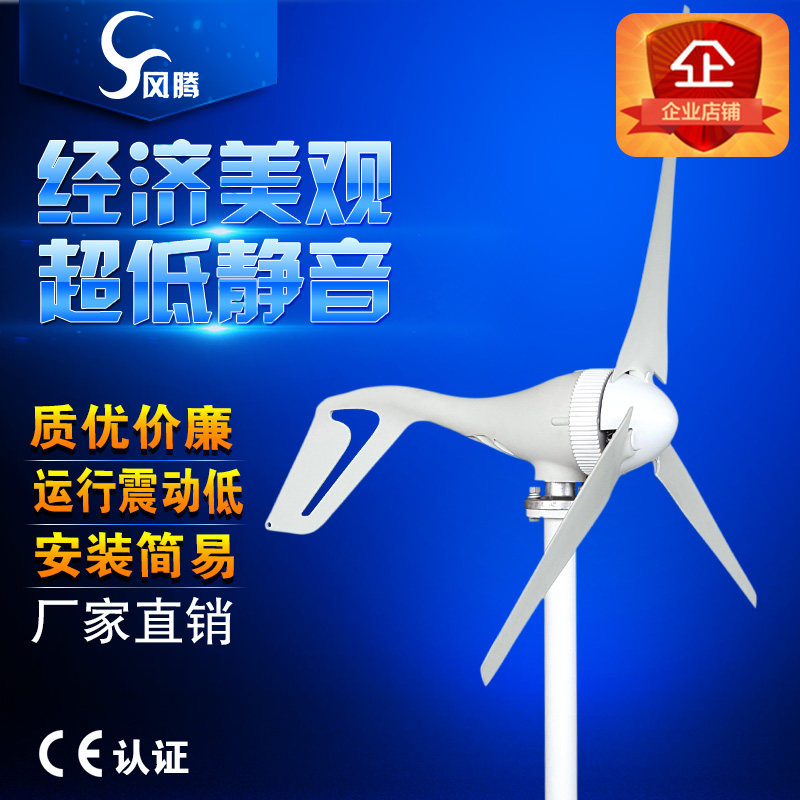 100W200W Small Wind Turbine Wind Turbine 12V24V S300W400W for Street Lighting