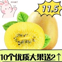 Yellow Heart Kiwi Official Flagship Store Chiechifruit Fresh Golden Fruit Macaque Peach Suitable for Fat Reduction Period