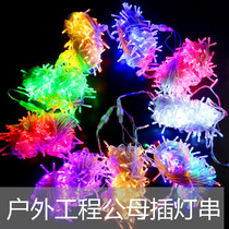 Outdoor waterproof male and female connection project lights LED small color lights flashing lights string lights starry lights colorful star lights