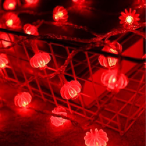 LED festive lights flashing lights string lights full of stars Spring Festival home New Year red lantern decoration Chinese light