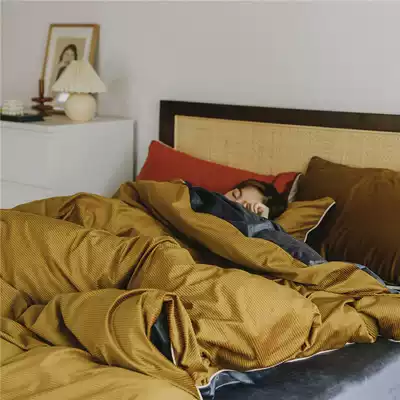 Winter bedding warm and thickened suede four-piece set of 4-piece color-style ins quilt cover coral velvet double sheet bed hats