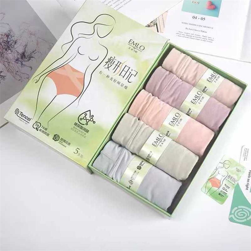 Amilou Slim Open Diary Abdominal Cross Women's Micro Tummy Control Mid-High Waist 5-Pack Underwear 62665 62666