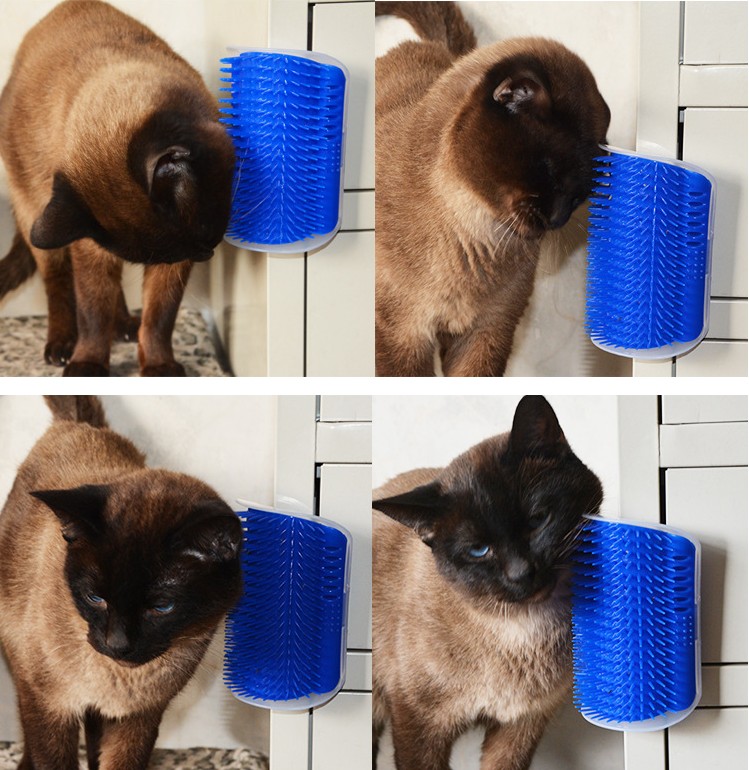 Pet - corner rubber Cat Massage Cat Toy Included with Cat Mint Double - sided rubber