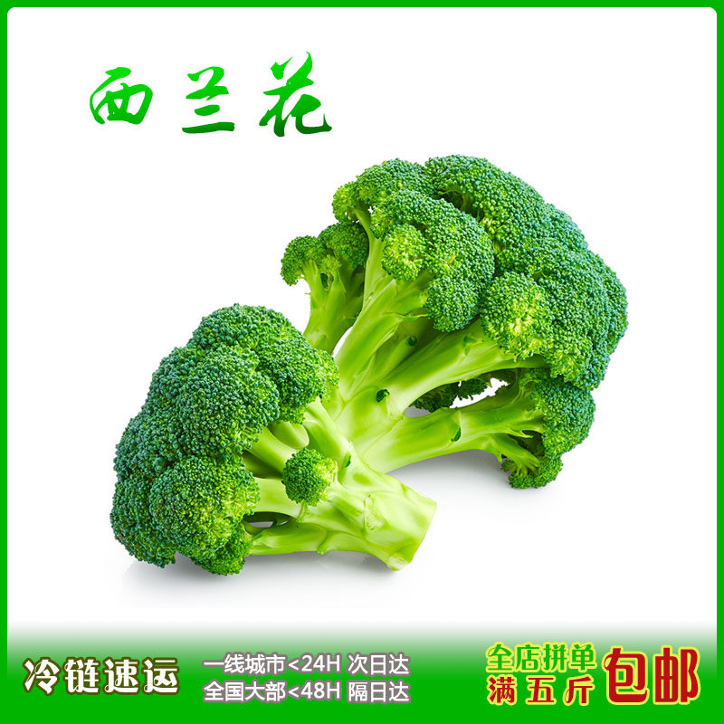 精品西兰花一斤500g无公害种植绿色新鲜蔬菜花椰菜绿叶菜五斤包邮