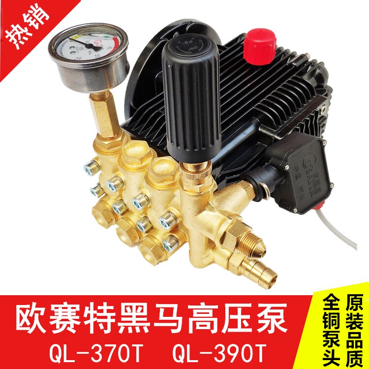 Suzhou Ousait Black Horse Ql370/390T/0717/0919 High-Pressure Washer Pump Head Car Wash Machine Head