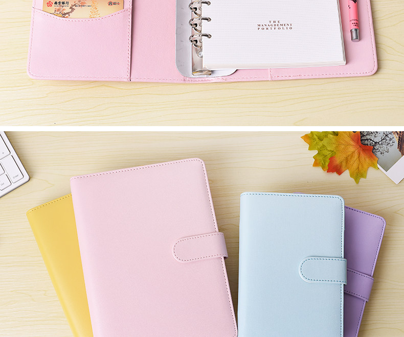 Zhengcai Box Placket_09.jpg