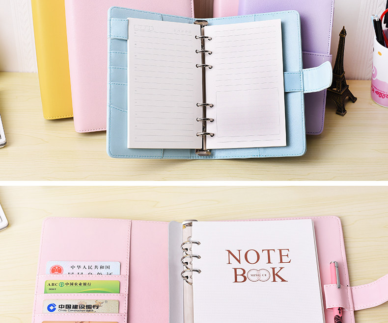 Zhengcai Box Placket_08.jpg