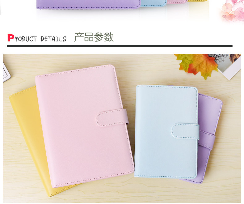 Zhengcai Box Placket_02.jpg