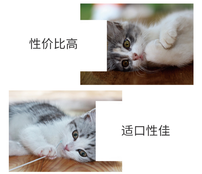 Green Eye GIMPET Đức Junbao Cat Kem dinh dưỡng Vitamin 200g Kem dinh dưỡng Junbao Cat - Cat / Dog Health bổ sung sữa cho chó 3 tháng tuổi	