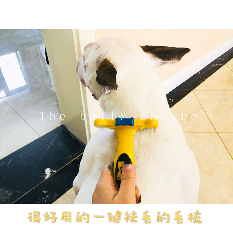 Dog comb, dog hair, dog brush, short-haired, long-haired dog, one-click hair removal, bull terrier, golden retriever, Labrador