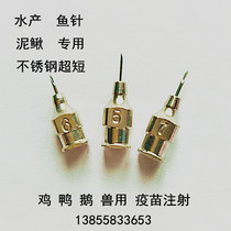 Special needle loach grass carp yellow bone fish Chicken rabbit pigeon lamb pig vaccination veterinary stainless steel ultra-short