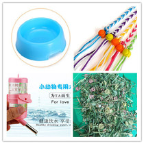 Dutch pig pet rabbit rabbit guinea pig dolphin simple set