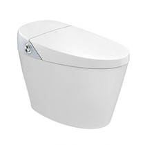 Hengjie QE smart toilet all-in-one machine