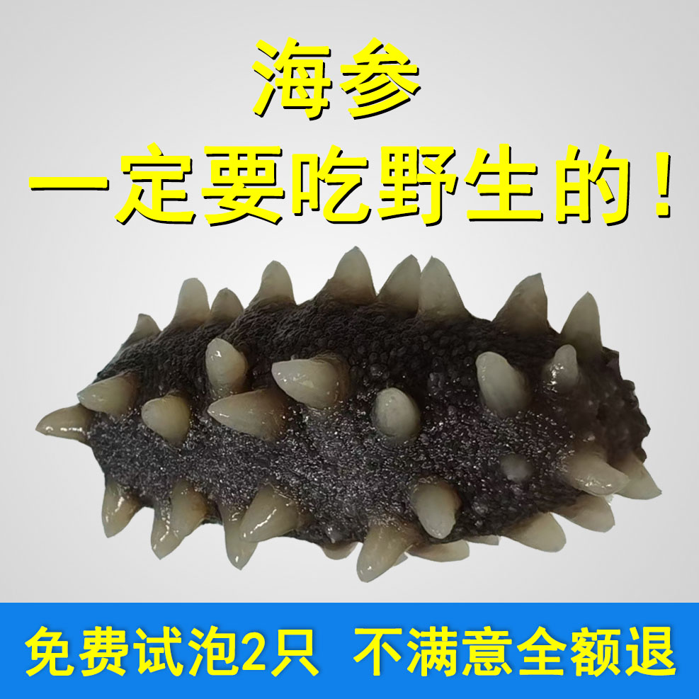Xiaohan Sea Cucumbers Dry Cargo Flagship Store 500g Long Island Wild Light Dry Non-Gift Box Undercast Ready-to-eat Dalian Liao Tingling 3-Taobao