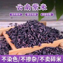 Yunnan Mojiang Purple Rice New Rice Grains Whole Germ Farm Homemade Purple Rice Blood Glutinous Rice Zongzi Rice Balls