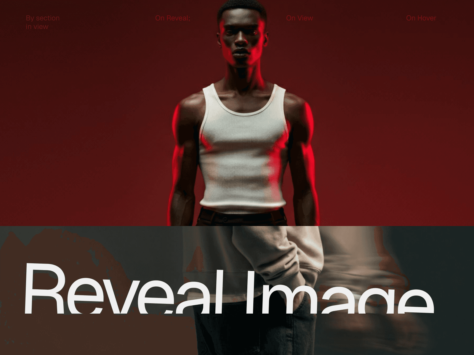 Framer中文网免费组件模板、Framer组件、Framer模板、Framer教程、Framer汉化