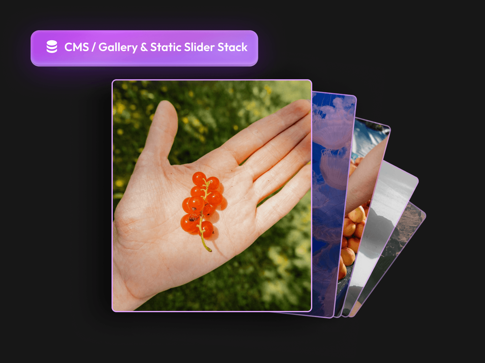 Framer中文网免费组件模板、Framer组件、Framer模板、Framer教程、Framer汉化