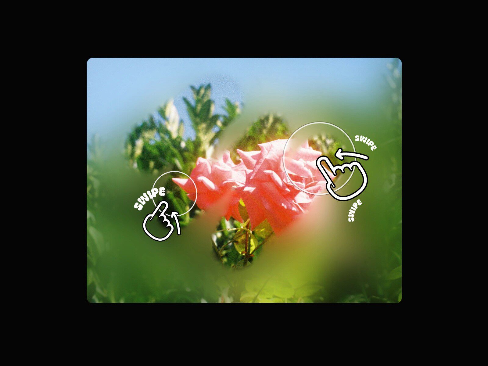 Framer中文网免费组件模板、Framer组件、Framer模板、Framer教程、Framer汉化