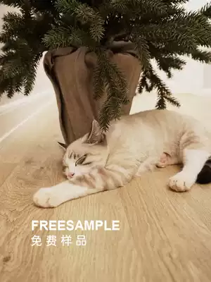 SOUN Songyue solid wood floor model special shot Super link