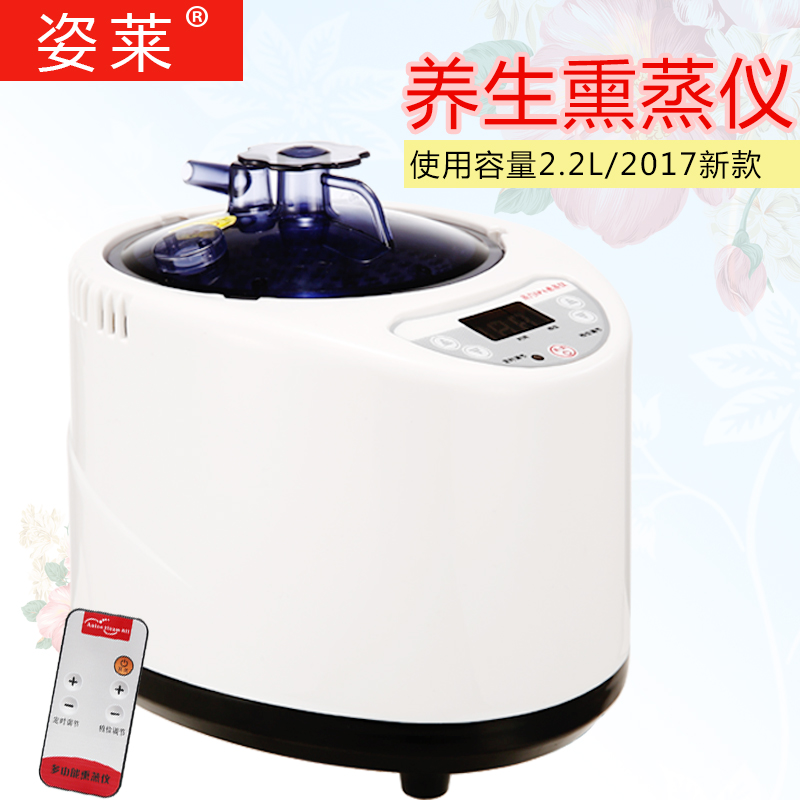 Home Sauna Heater Steam Machine Fumigator Capacity Steam Bath Steam Box