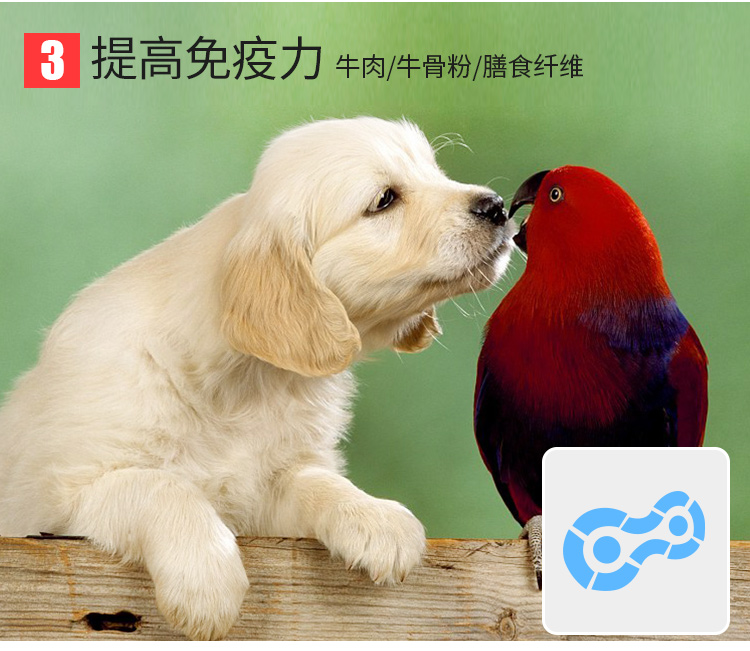 Thức ăn cho chó Odin 10kg chó con phổ quát Teddy VIP Golden Retriever Husky Satsuma Bear thức ăn tự nhiên cho chó 20 kg - Chó Staples đồ ăn cho chó con