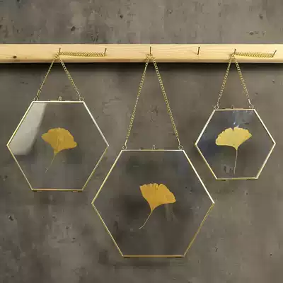 Hexagon glass photo frame metal copper side small pendant simple plant specimen photo clip background wall creative home