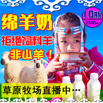 Khurumbert Grassland Freshly Squeezed Sheep Milk Sheep Milk Nutrition Higher Than Goat Milk Child Pregnant Cisfeng